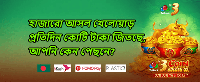 মেগা বোনাস 010